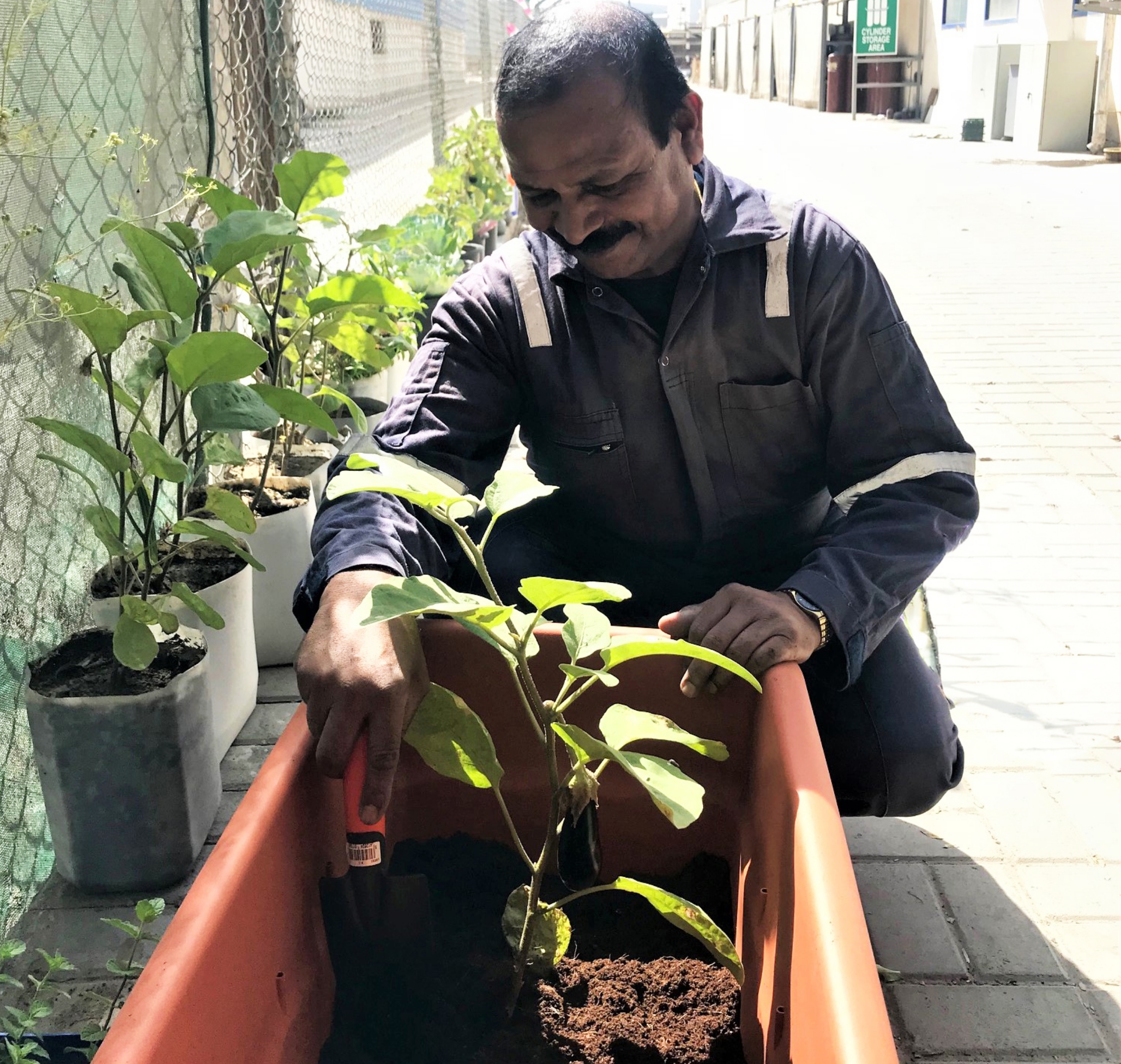 Responsible practices includes our employee is growing plants in our premises